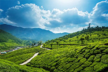 South India Tour Packages