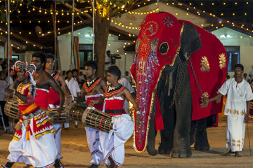 Srilanka Tour Packages